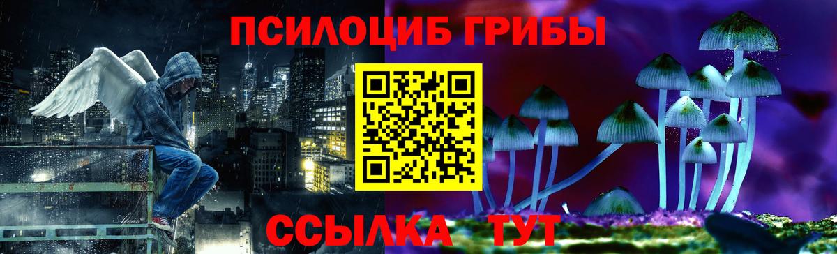 Волжский  Псилоцибиновые грибы GOLDEN TEACHER  Вход с VPN 