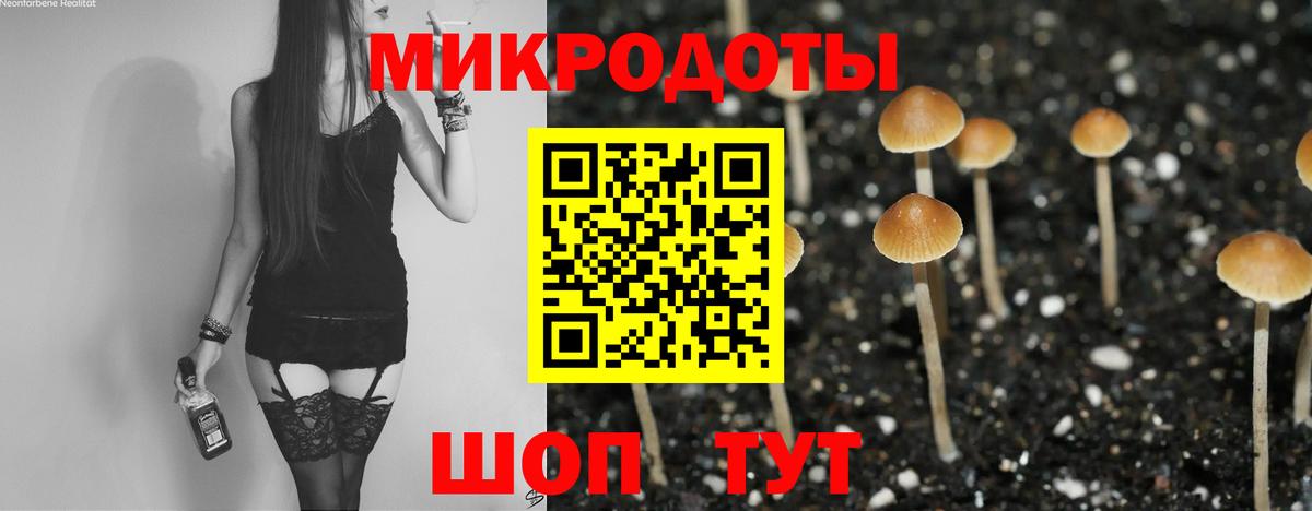 Галлюциногенные грибы мицелий Волжский